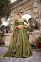 Dreamy Pastle Lehenga choli _542