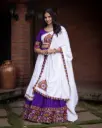  The Lavangini Lehenga Choli_RASRANGINI_333