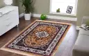 Traditional Floral Oriental Carpet_385