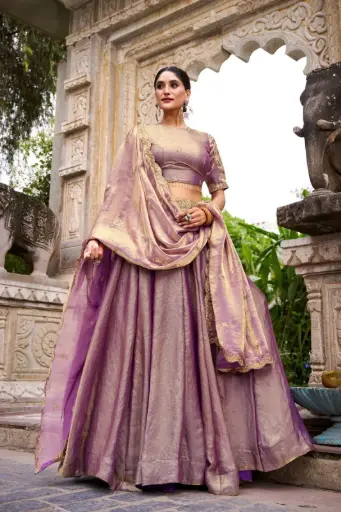 [542] Dreamy Pastle Lehenga choli _542
